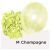 Champagne Latex Balloon Party Wholesale Singapore